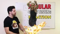 Test Effective Angular